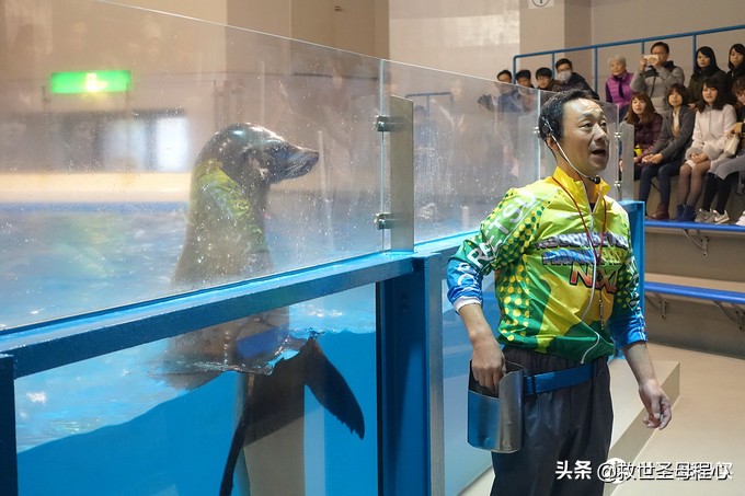 日本旅游工资流水单什么样,日本流水账式旅行