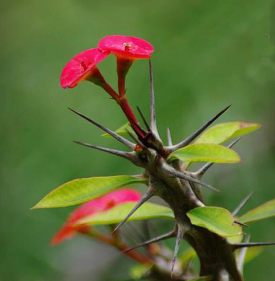 真正聪明的人身上有哪些特征,聪慧女人的特征