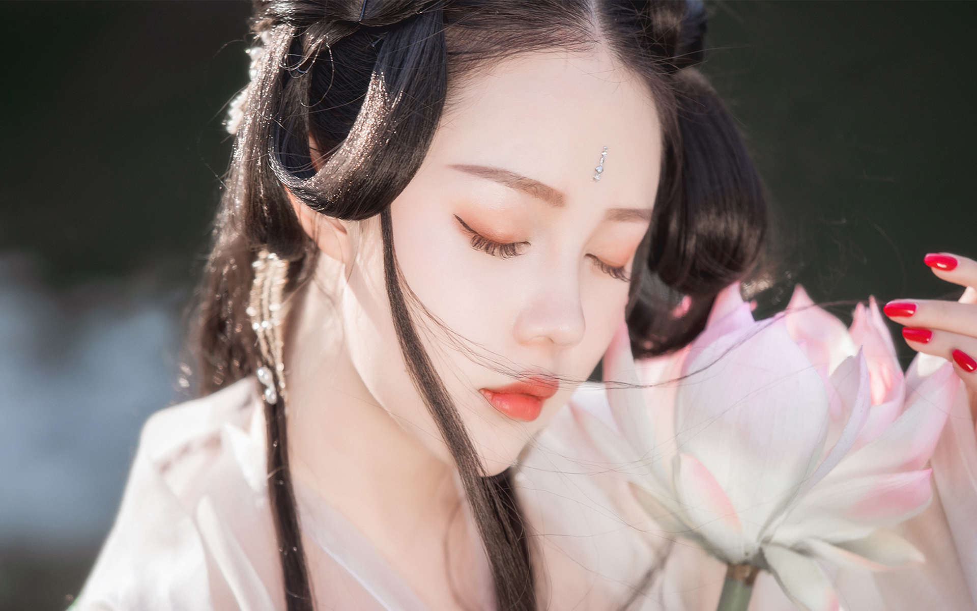 美人泪相思劫,美人画卷