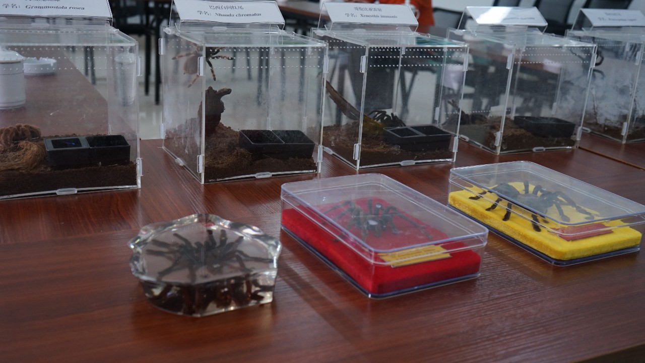 调研联盟,联合调研乡村振兴