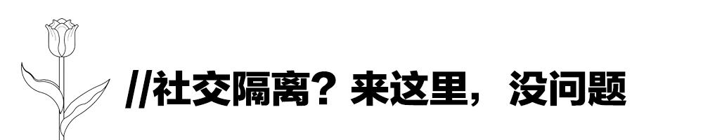 别骑单车了，你知道在荷兰要去哪里买咖啡吗？