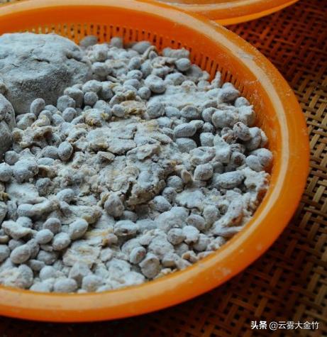 家庭自酿黄豆酱（酱油）-感受食品发酵的神奇