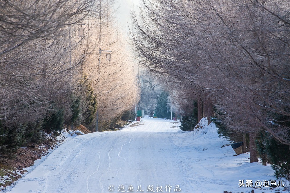 陕西秦岭发现的石头,捡石头下雪了后续