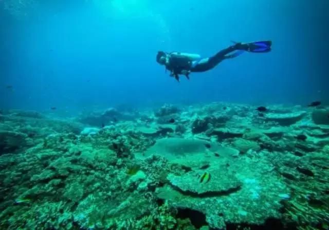 音乐记号,音乐符号怎么记