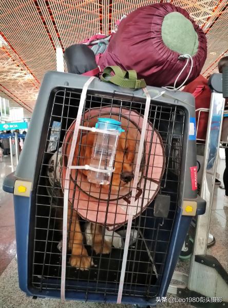 曾轶可边检事件是真的吗,出入境安检有多严格