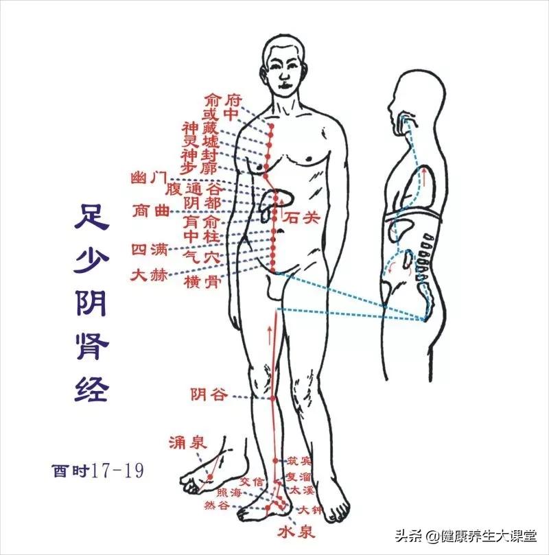 经络不通，补啥都没用？14条经络阻塞后的表现，值得收藏！