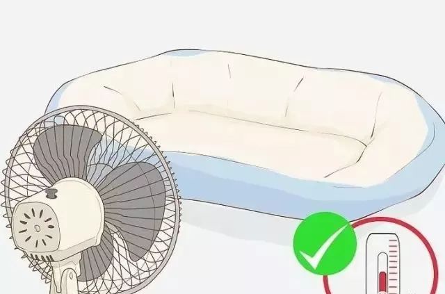 狗狗中暑后好几个小时站不起来,狗狗中暑症状和解救方法及其价格