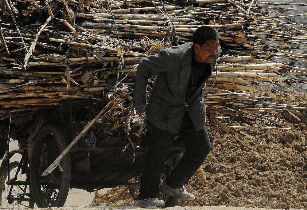 《父亲》老父亲重担由我挑一下吧!您该休息了