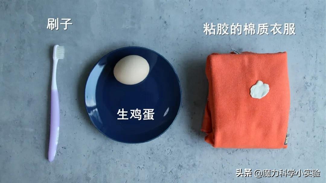 魔力科学小实验静电,魔力科学小实验变色的水