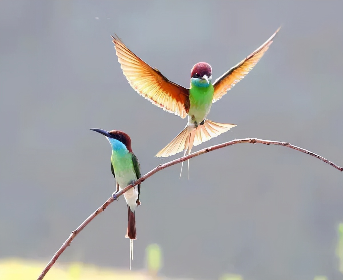 斜溪村旅游规划,斜溪村度假村