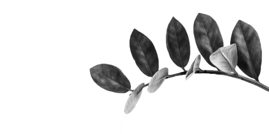 澳洲羊羔绒雪地靴,澳洲性价比高的雪地靴推荐