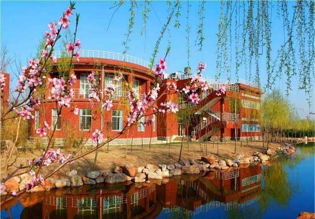 潍坊最好的高中排名前十,2022年潍坊高考各高中成绩排行榜