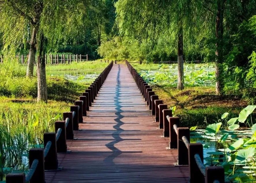 昌平哪个地方的公园最好,昌平区主要公园及景点