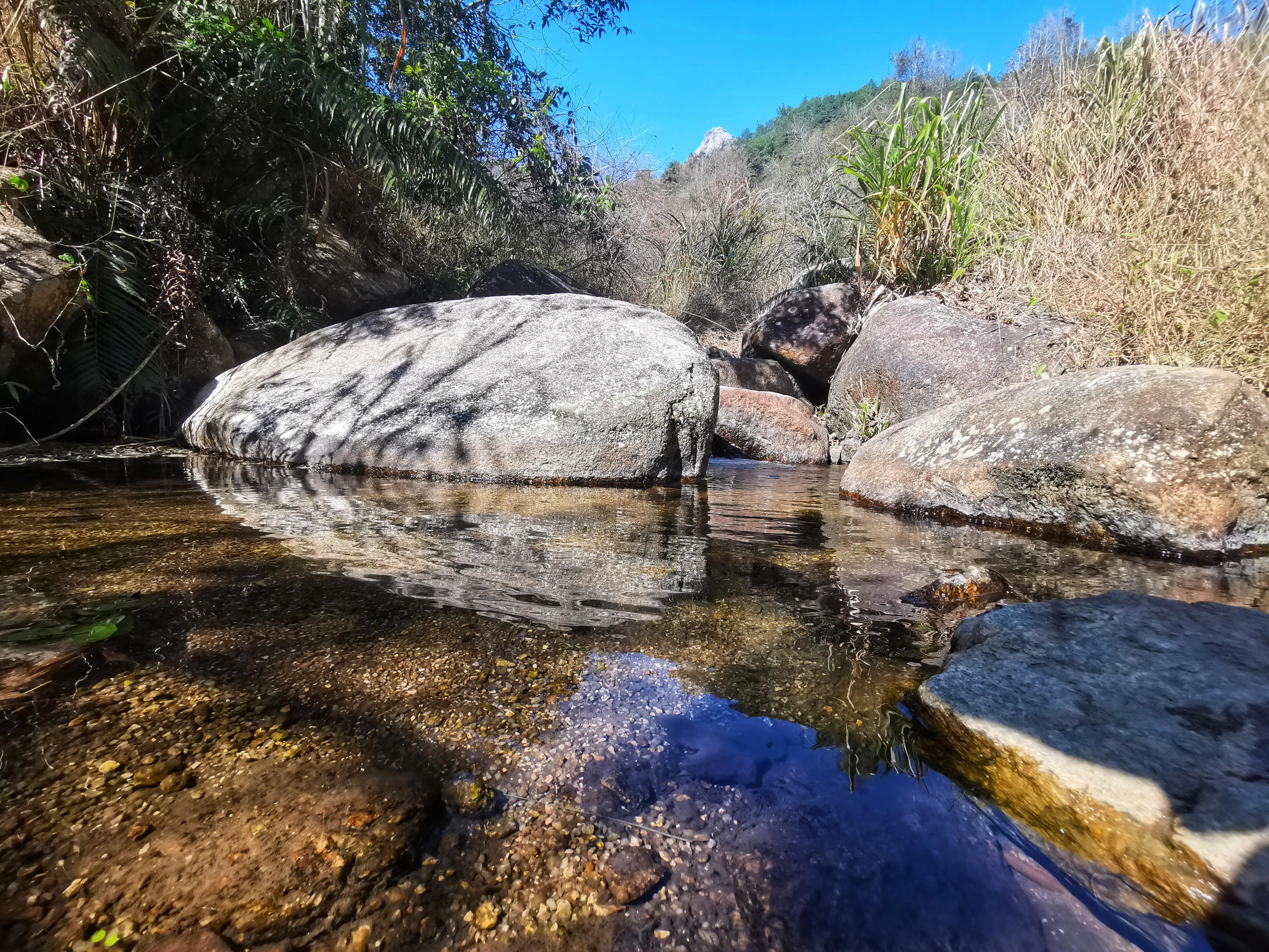 新丰云髻山,新丰云髻山枫叶红了吗