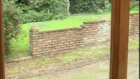 捕捉蜘蛛器,引诱蜘蛛神器