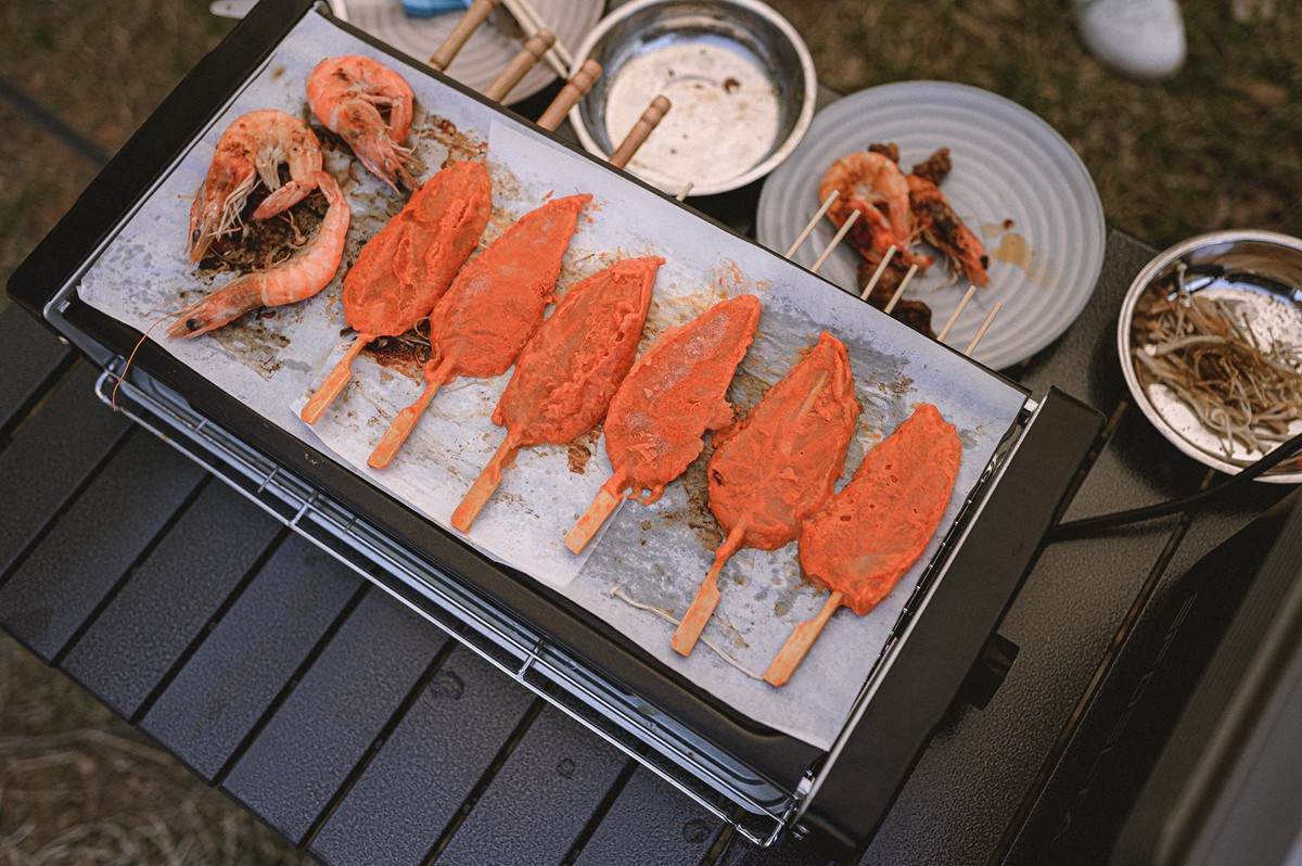 户外烧烤电源测评,户外电烤炉评测