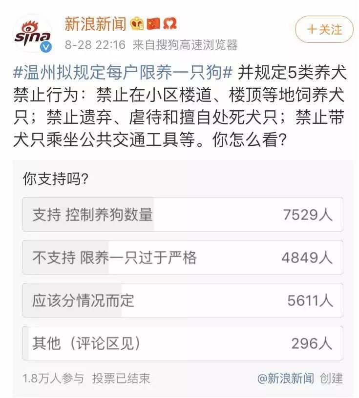 有一种幸福叫猫狗双全,猫狗双全的人生