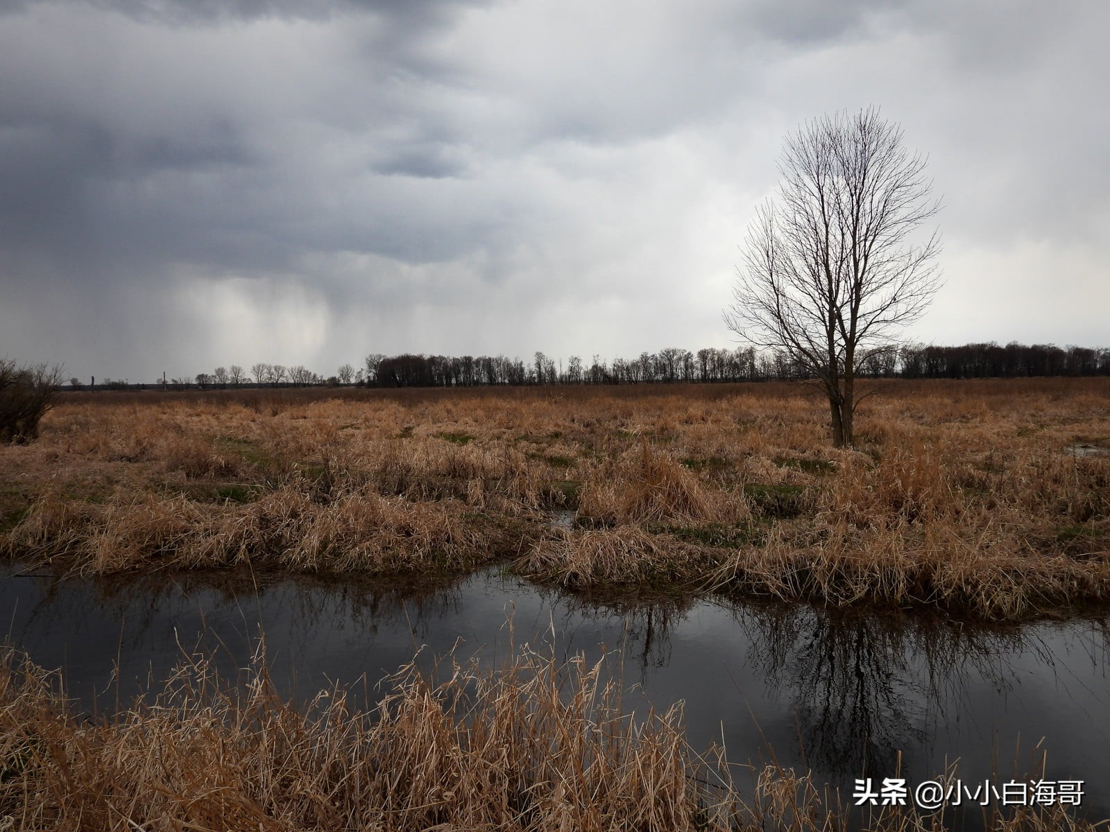 尼康24-3000mm超长焦镜头,尼康p950变焦镜头