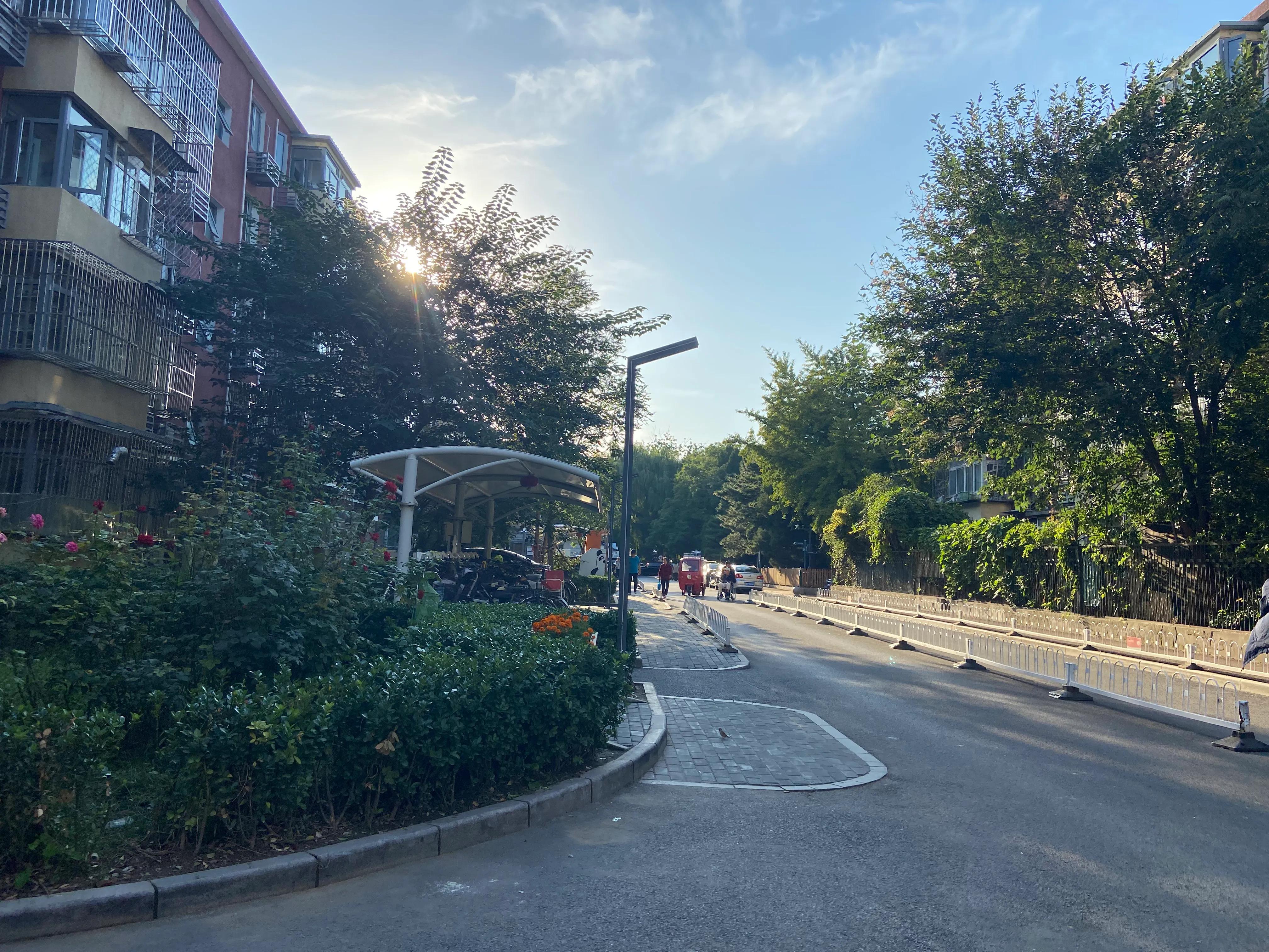 海淀双榆树价格,北京海淀区双榆树