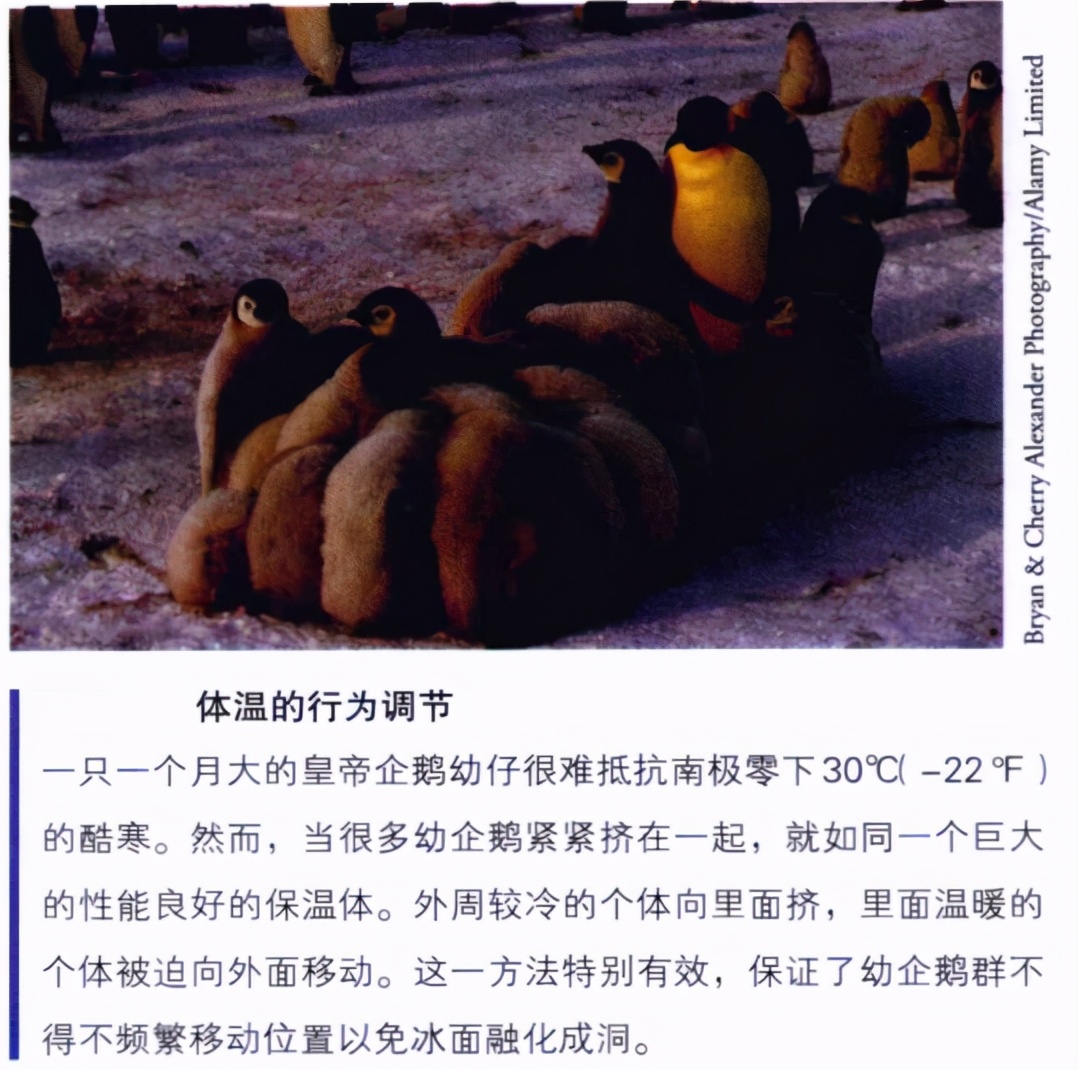 心理学的生物学基础知识,生物心理学知识书籍