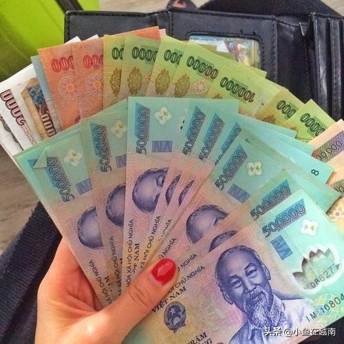越南自由行需要准备多少钱,越南穷游攻略10天视频