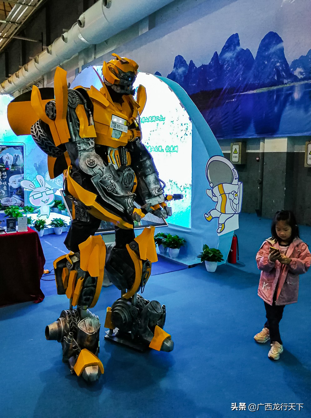 中国东盟博览会旅游展发布会,中国东盟旅游博览会