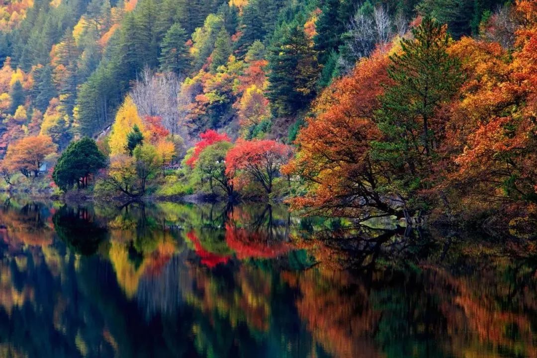 九寨沟景色恢复了吗,九寨沟震后重生