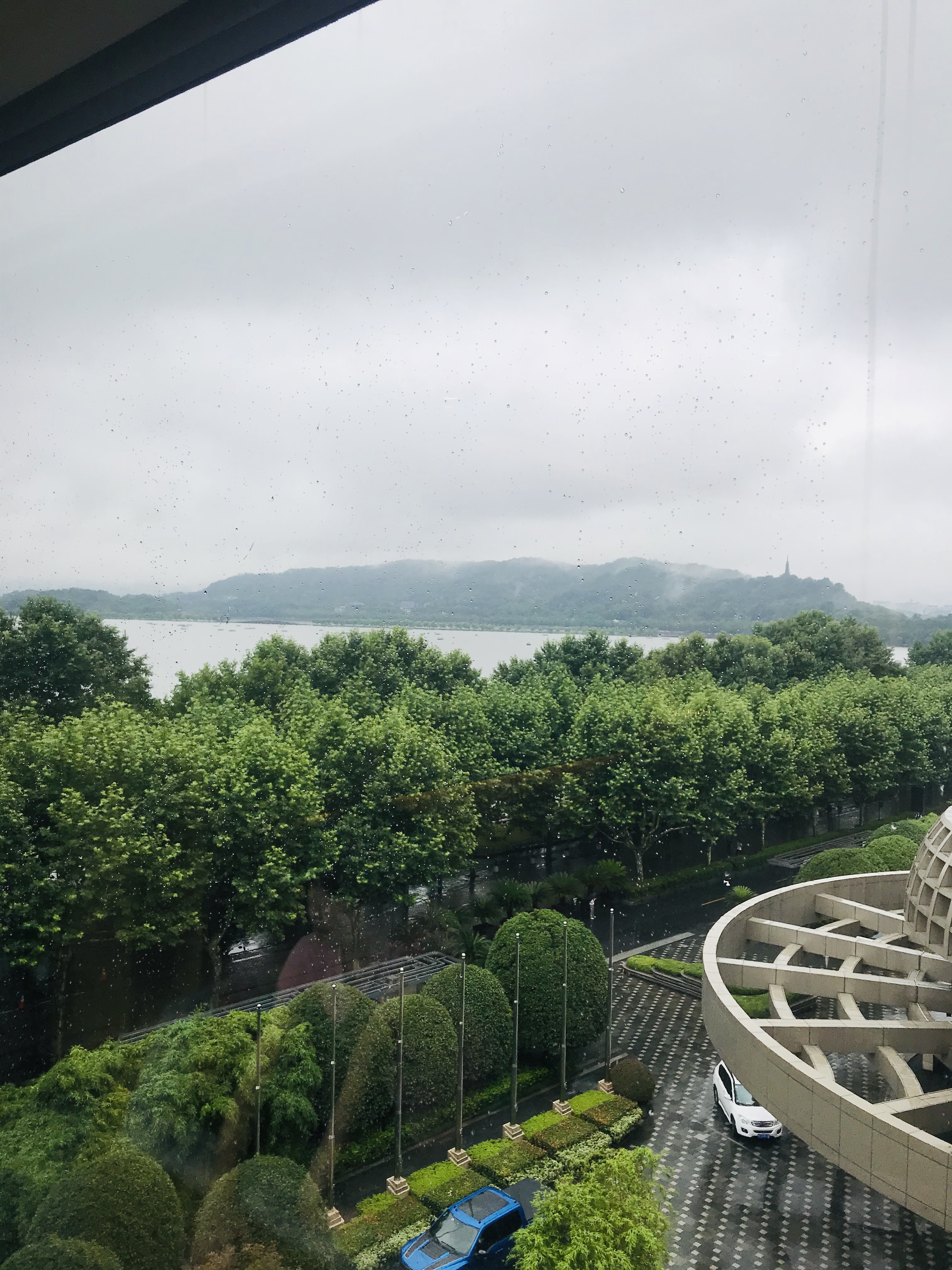 杭州君悦酒店是五星级酒店吗,杭州君悦酒店老板