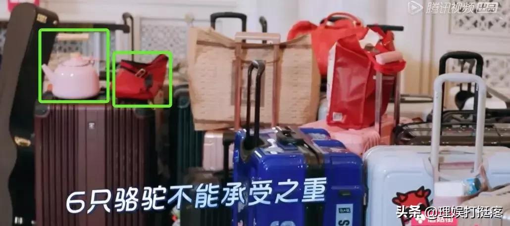 男女明星旅行差异大起底!不看不知道原来我们不一样