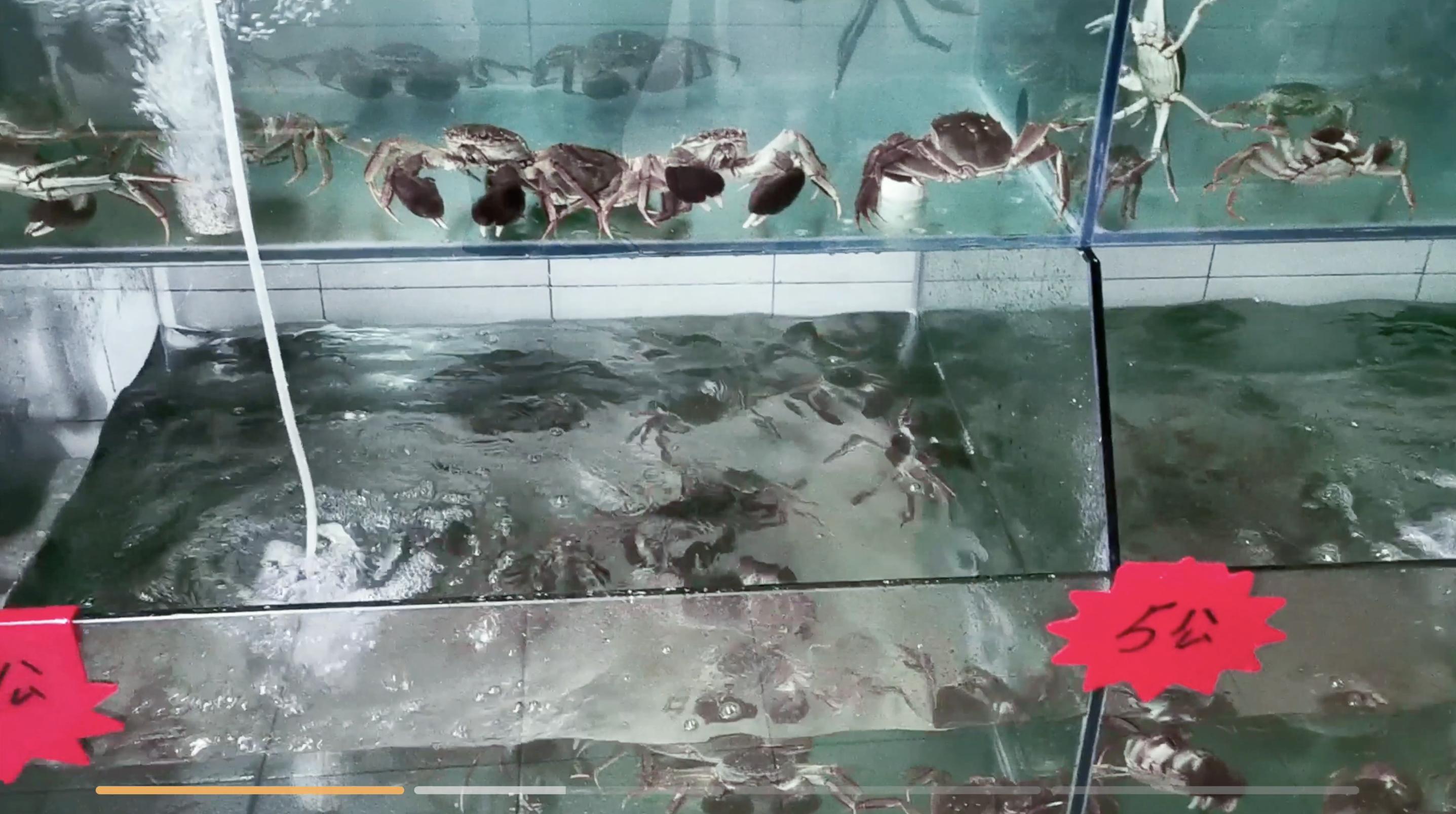 自驾车顶行李箱,车顶行李箱自驾游途中的真实体验