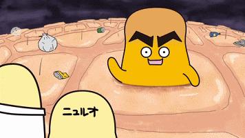 脸上不同部位长痘对应器官有问题,脸上长痘部位对应内脏