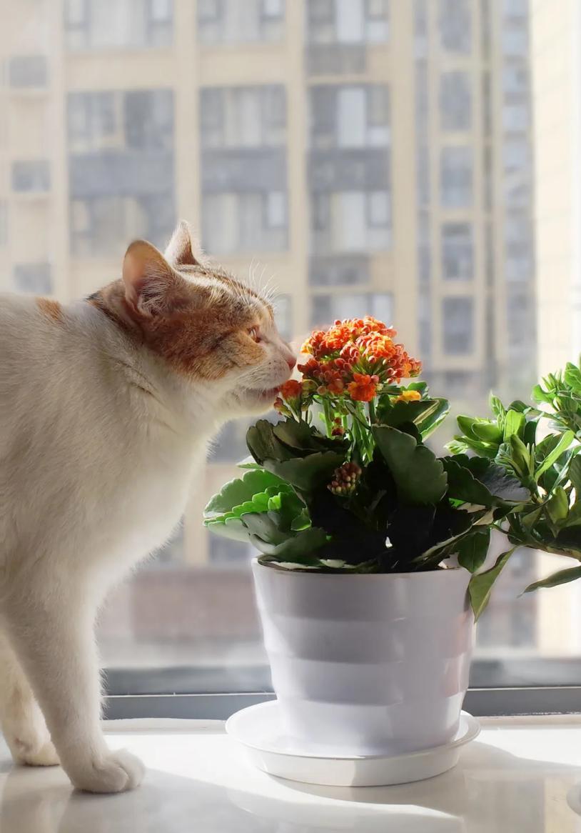 线上快进,线下激活!五月,荣盛物业渐进式启动双线社活