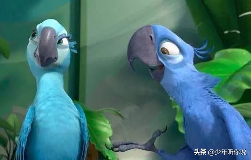 近期因为人类导致的物种灭绝,科普五次物种灭绝事件