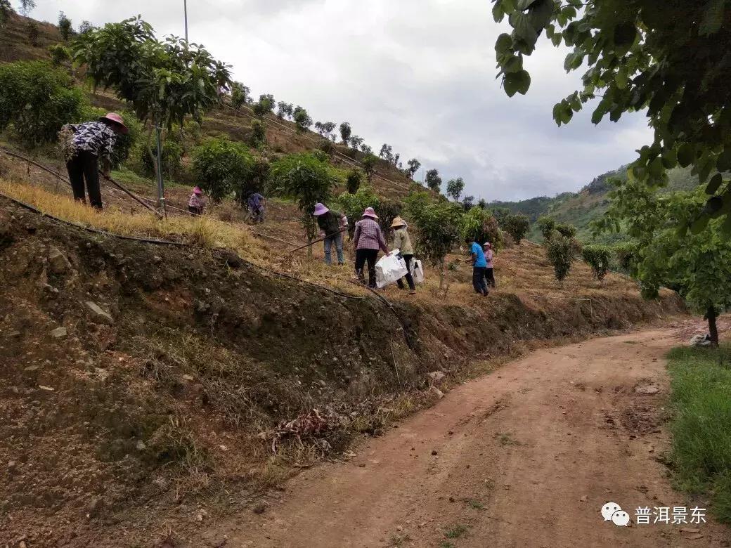 农民工喜领劳动报酬,农民工庆祝每月按时足额领取工资
