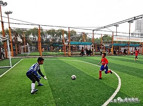 满屏热血军体运动会火热开赛,蔡甸区第十一届全民健身运动会