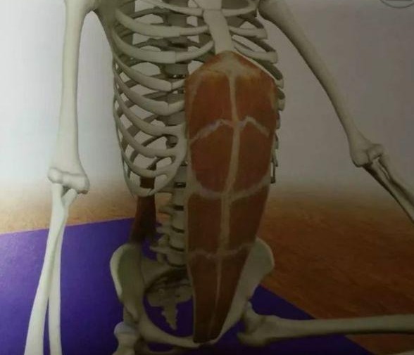 呼吸过度可以通过憋气缓解吗,气短每天做10分钟深呼吸有好处吗