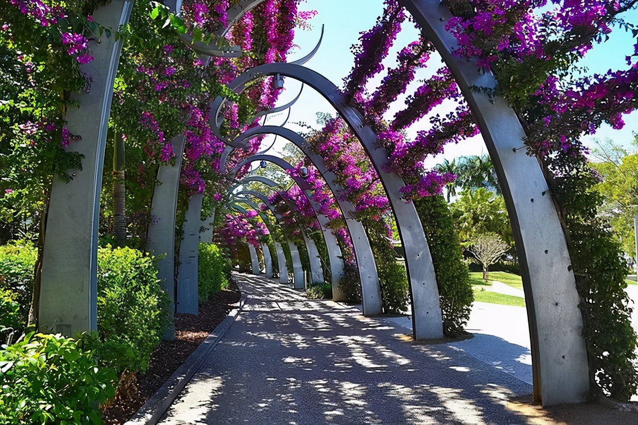 庭院植物设计搭配方法,庭院设计花草搭配