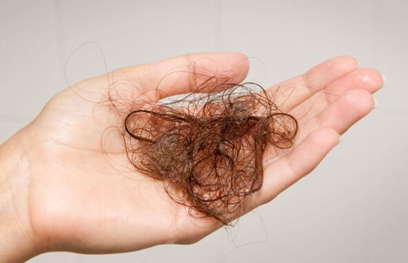 发根从毛囊里掉了还会长出来吗,毛囊有小白点是坏死吗