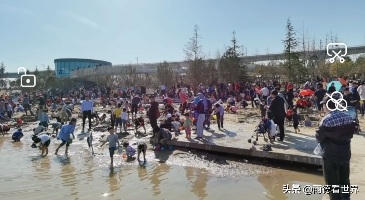 河南郑州蝶湖公园,打卡郑州网红蝶湖森林公园