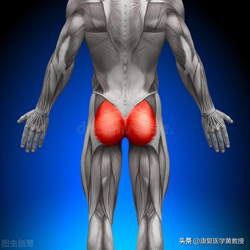 身为女人，你知道哪些肌肉对妳很重要呢？