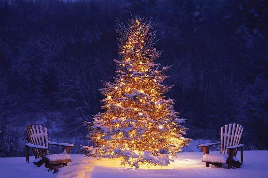 圣诞节不同时间的习俗,什么是圣诞节圣诞节有哪些习俗