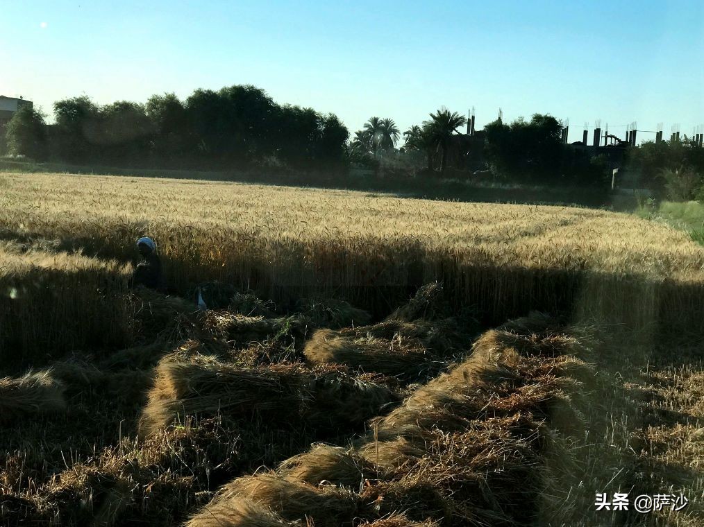 埃及卢克索攻略,埃及旅游开罗亚历山大卢克索