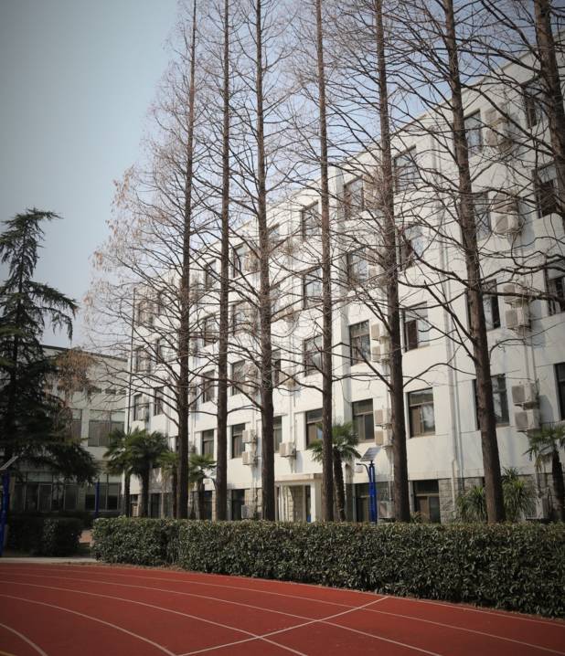 上海回不去的青春,上海市建平中学老照片