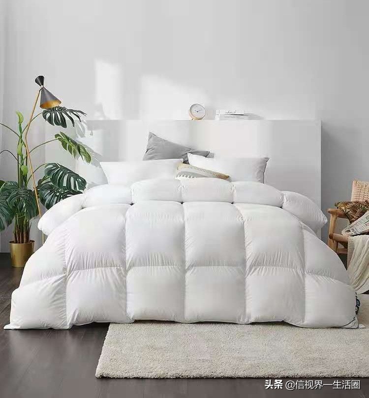 鸭绒怎么处理才不会发虫,鸭绒被味道重怎么办