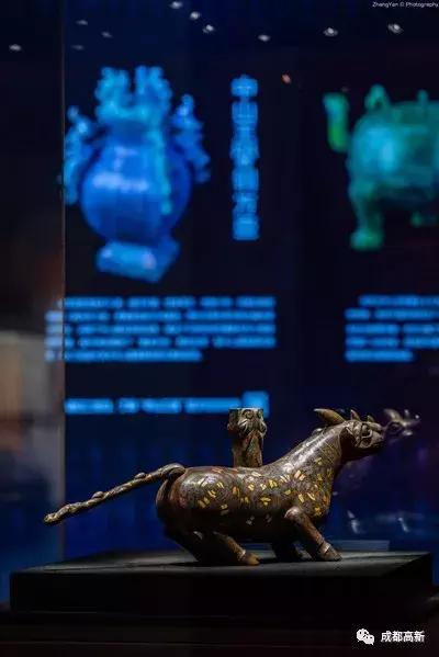 球迷，小高请你来“约会”足球巨星