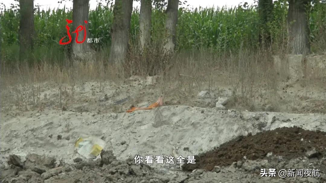 叶子就像抹粉化了妆,西瓜遭殃,玉米提前黄叶子,原来竟跟修路有关