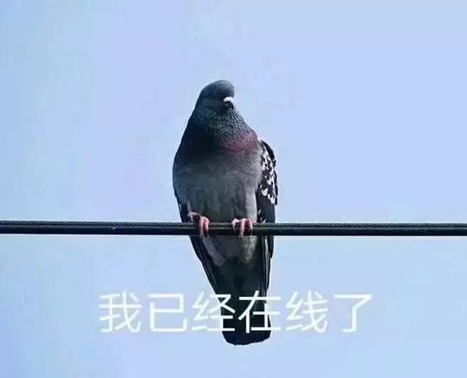 妇科专家：产后正确避孕的5种方法，看看你适合哪种？