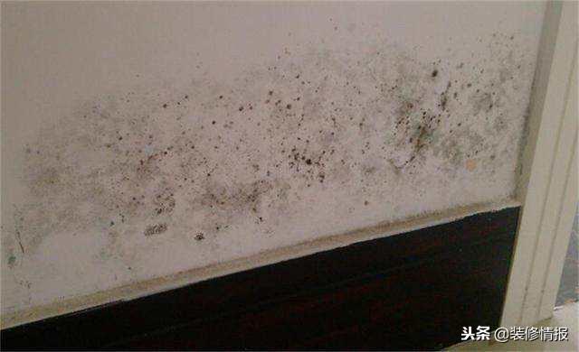 墙面反复发霉彻底解决方法,墙面发霉起泡还掉墙皮怎么修补