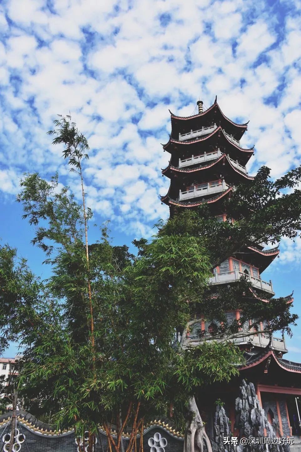 深圳去香港哪里买免税品,不用去香港也能在万宁买东西吗