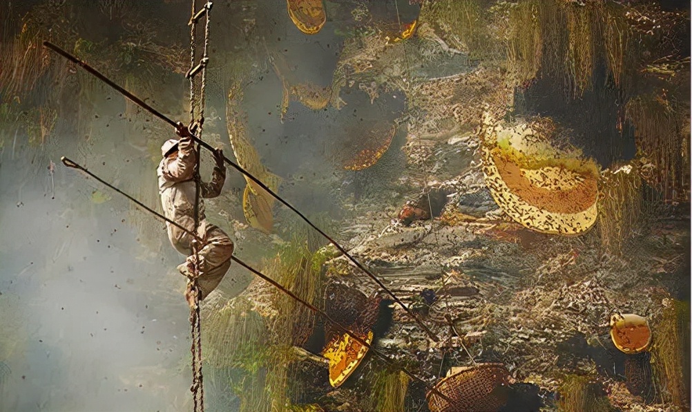 喜马拉雅采蜜人纪录片,喜马拉雅山采蜜